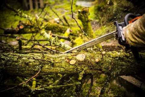 Man sawing a log in his back yard Stock Photos