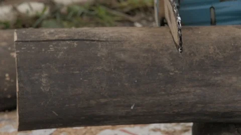 Man sawing logs by chainsaw. slow motion Stock Footage 98754889