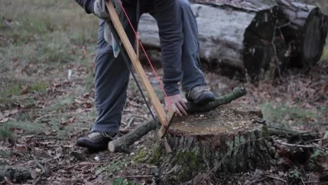 Man Sawing A Small Tree Camp Saw Stock Footage 120464596