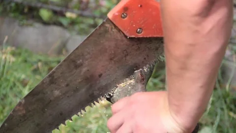 Man sawing a tree Stock Footage 78071143