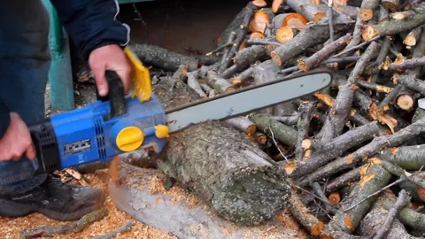 Man is sawing  trunk of tree with an electric saw. Video stock 79745932