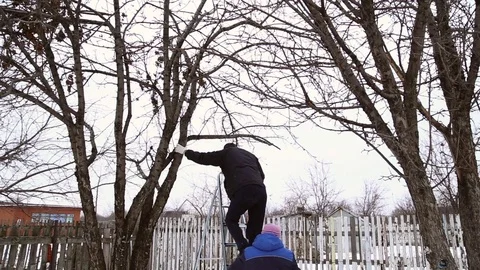 Man saws off the apple tree branch Stock Footage 70206742