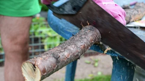 A man saws a branch with a saw Stock Footage 317291819