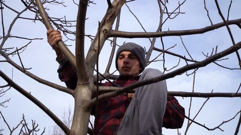 A man saws branches on a tree.Close up Video stock 125809581