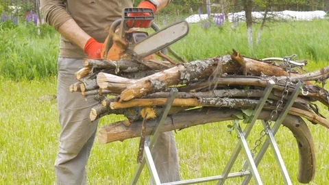 The man saws the dry branches of the chainsaw on a special machine. In the Stock Footage 91664154