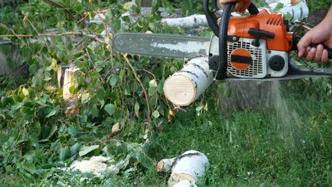 A man saws a log with an chain saw. Process of sawing wood with an chain saw. Stock Footage 158119133