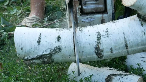 A man saws a log with an chain saw. Process of sawing wood with an chain saw. Stock Footage 158119787