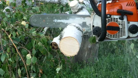 A man saws a log with an chain saw. Process of sawing wood with an chain saw. Stock Footage 158122086