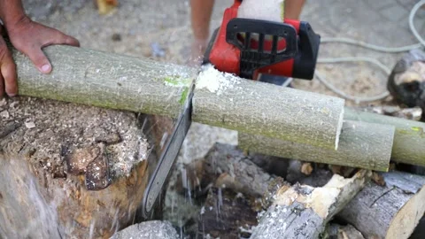 A man saws a log with an chain saw. Process of sawing wood with an chain saw Stock Footage 162873116