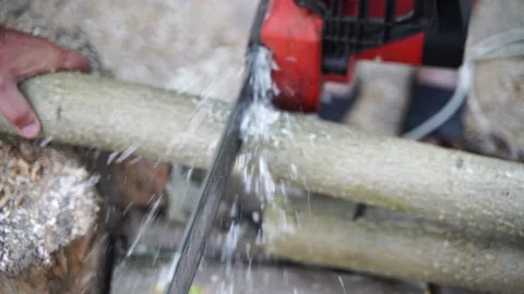 A man saws a log with an chain saw. Process of sawing wood with an chain saw Stock Footage 163004953