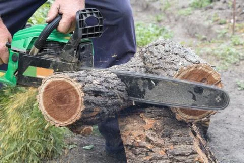 Man saws a log with a chainsaw Stock Photos
