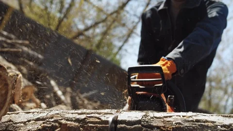 Man saws a log with a chainsaw, slow motion Stock Footage 128696752