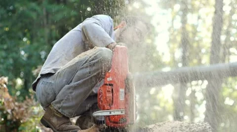 Man saws through large tree 02 Stock Footage 8960004