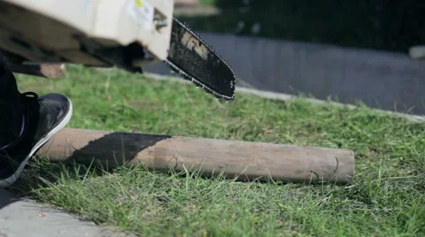 Man saws off of the timber chainsaw close-up Stock Footage 59368133