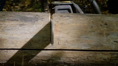 A man saws a tree with a chainsaw Stock Footage 138892472