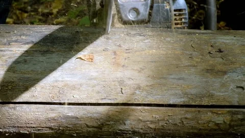 A man saws a tree with a chainsaw Stock Footage 138892947