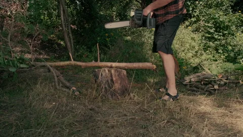 A man saws a tree with an electric saw for firewood. Stock Footage 203903718