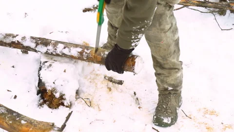 A man saws a tree for firewood with a hand saw. delayed shooting. 4k Stock Footage 87430262