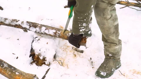 A man saws a tree for firewood with a hand saw. delayed shooting. 4k Stock Footage 87430433