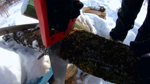 A man saws a tree with a hand saw in winter. Slow motion. Sawing wood . Stock-Footage 104009977