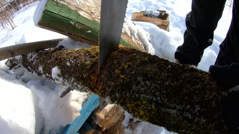A man saws a tree with a hand saw in winter. Slow motion. Sawing wood . Stock Footage 104010549