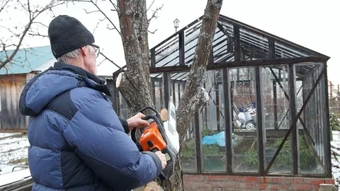 A man saws a tree. Worker man sawing tree Stock Footage 83196153