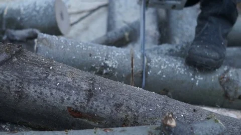 A man saws a tree. Worker man sawing tree Stock Footage 83196221