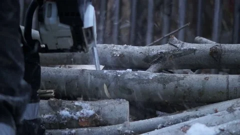 A man saws a tree. Worker man sawing tree Stock Footage 83309058