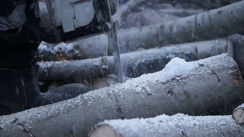 A man saws a tree. Worker man sawing tree Stock Footage 83309101