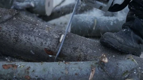 A man saws a tree. Worker man sawing tree Stock Footage 83339043