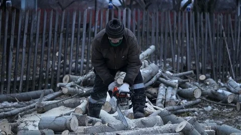 A man saws a tree. Worker man sawing tree Stock Footage 83648542