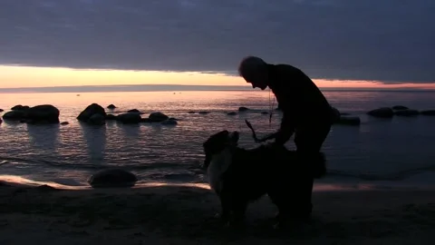 A man with saxophone on the beach at sunset. Lightly undulating evening sea Stock Footage 234926915