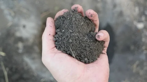 The man is scattering the soil through his fingers. Close up, slow motion Stock Footage 80757741