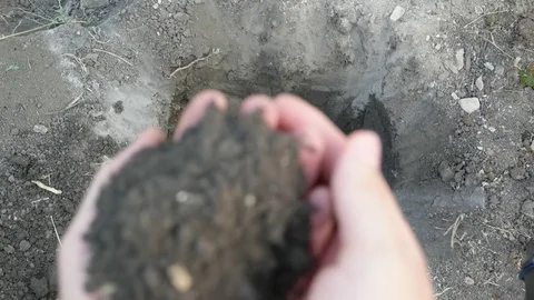 The man is scattering the soil through his fingers. Close up, slow motion Stock Footage 80757776