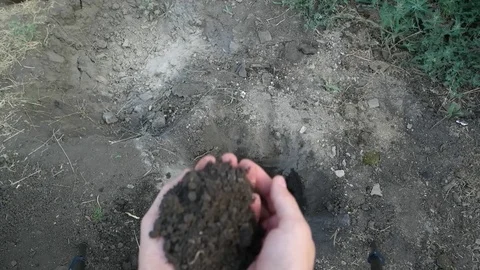 The man is scattering the soil through his fingers. Close up, slow motion Stock Footage 80757817