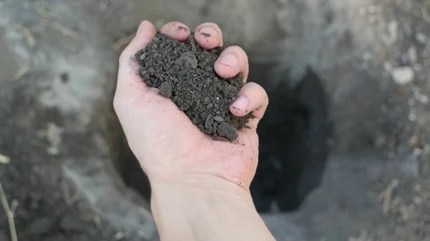 The man is scattering soil through his fingers Video stock 80758810