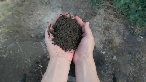 The man is scattering soil through his fingers Stock Footage 80758854