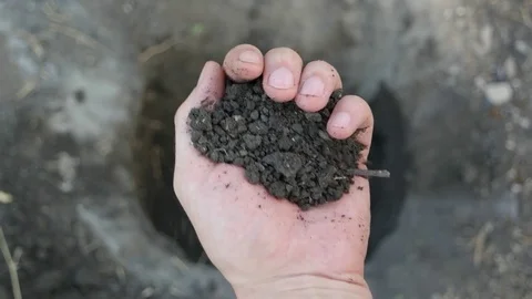 The man is scattering soil through his fingers Stock Footage 80759277