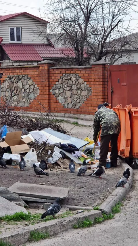 Man Scavenging Through Trash Pile Beside Orange Dumpsters with Pigeons Stock-Footage 339001445