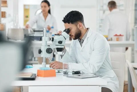 Man, scientist and check with microscope in lab with disease experiment, medical Stock Photos