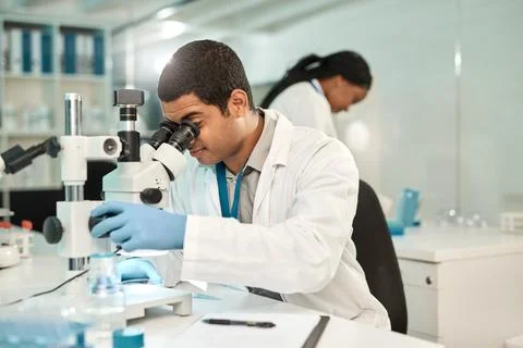 Man, scientist and lens with microscope in lab for research, studying sampl.. Stock Photos