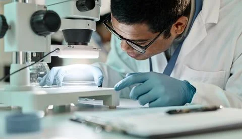 Man, scientist and sample on petri dish with microscope for research, disea.. Stock Photos