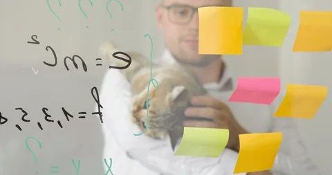Man scientist with cat is working with notes and formula on transparent screen. Stock Footage 129900526