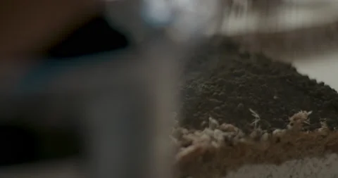Man scooping and laying soil into clear glass container to shape terrarium base Stock Footage 232091877
