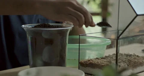 Man scooping and laying soil into clear glass container to shape terrarium base Video stock 232092019