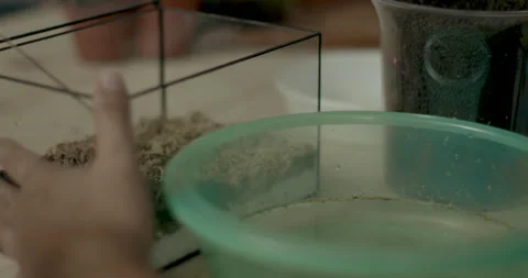 Man scooping and laying soil into clear glass container to shape terrarium base Video stock 232092278