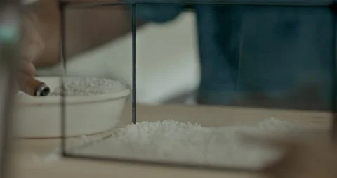 Man scooping white pebbles into clear glass container to shape terrarium base Video stock 232080742