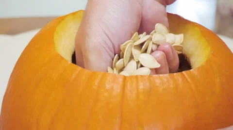 Man Scoops Seeds with His Hands from a Large Orange Pumpkin Stock Footage 68750563