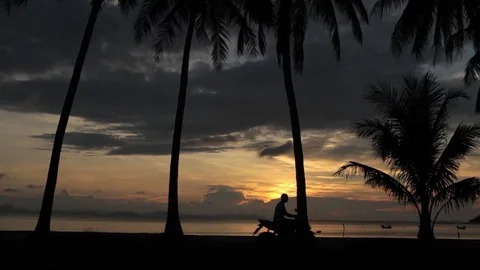Man on a scooter rides along the beach with palm trees at sunset Stock-Footage 85280949