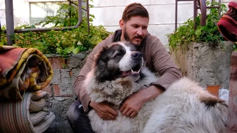 A man scratches and strokes a large white dog Stock Footage 194564866